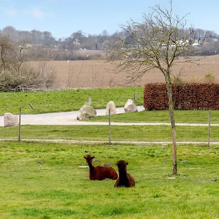 Aloisia - 300m From The Sea By Interhome Сasa de vacaciones Broager