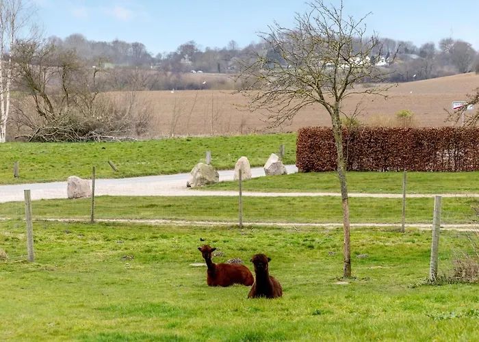 Aloisia - 300m From The Sea By Interhome Nyaraló Broager